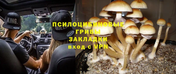 PSILOCYBIN Богородск